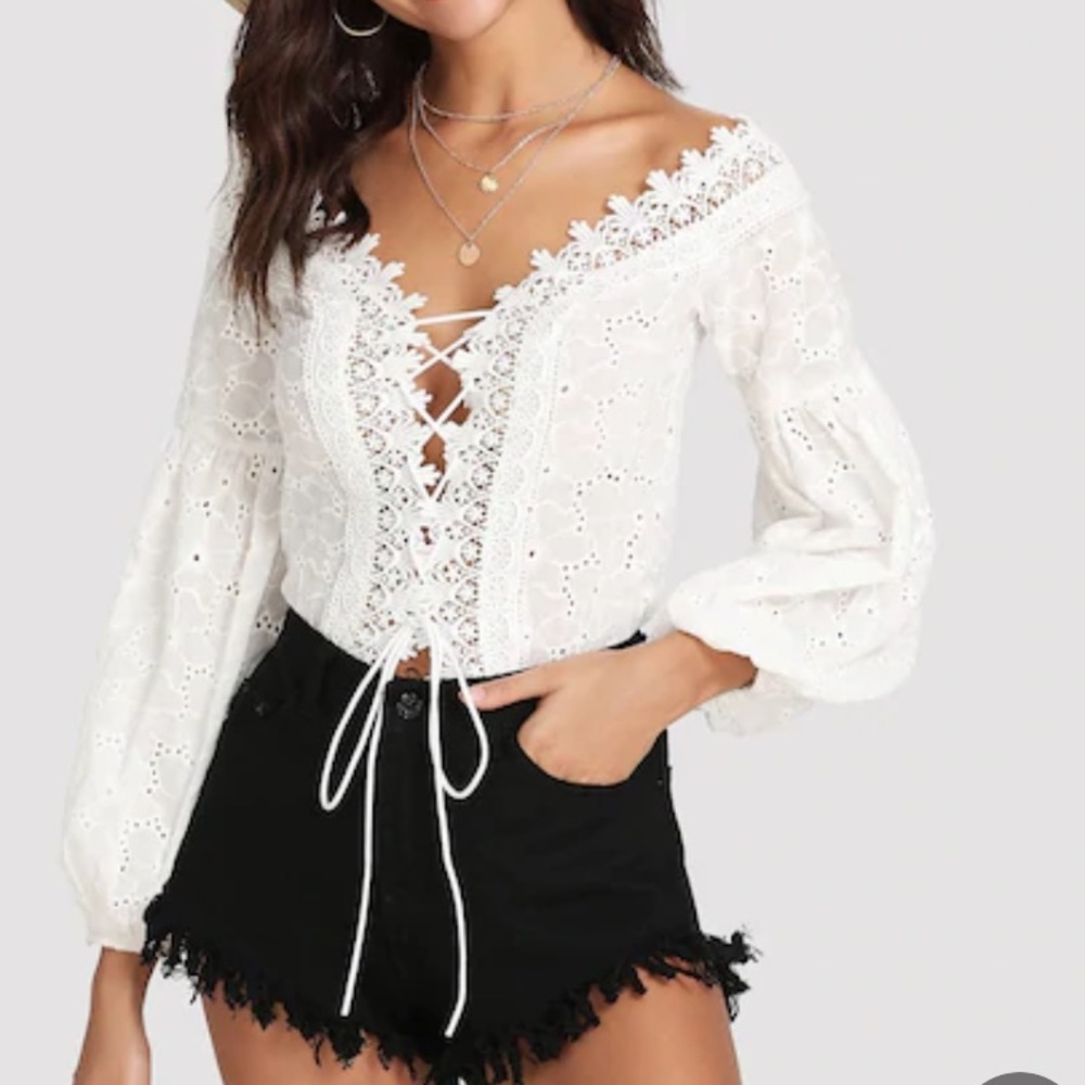 Lace Plunge Neck Embroidered Bodysuit